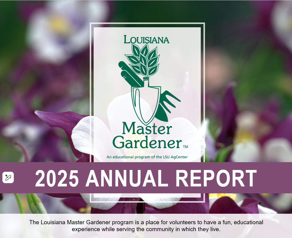 2025 Annual Report